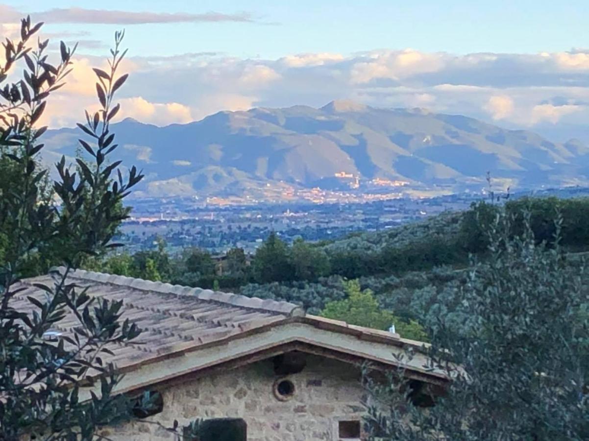 Agriturismo Camiano Piccolo 몬테팔코 외부 사진