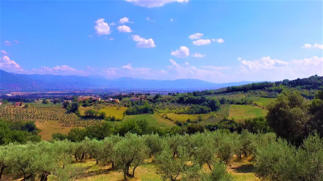 Agriturismo Camiano Piccolo 몬테팔코 외부 사진