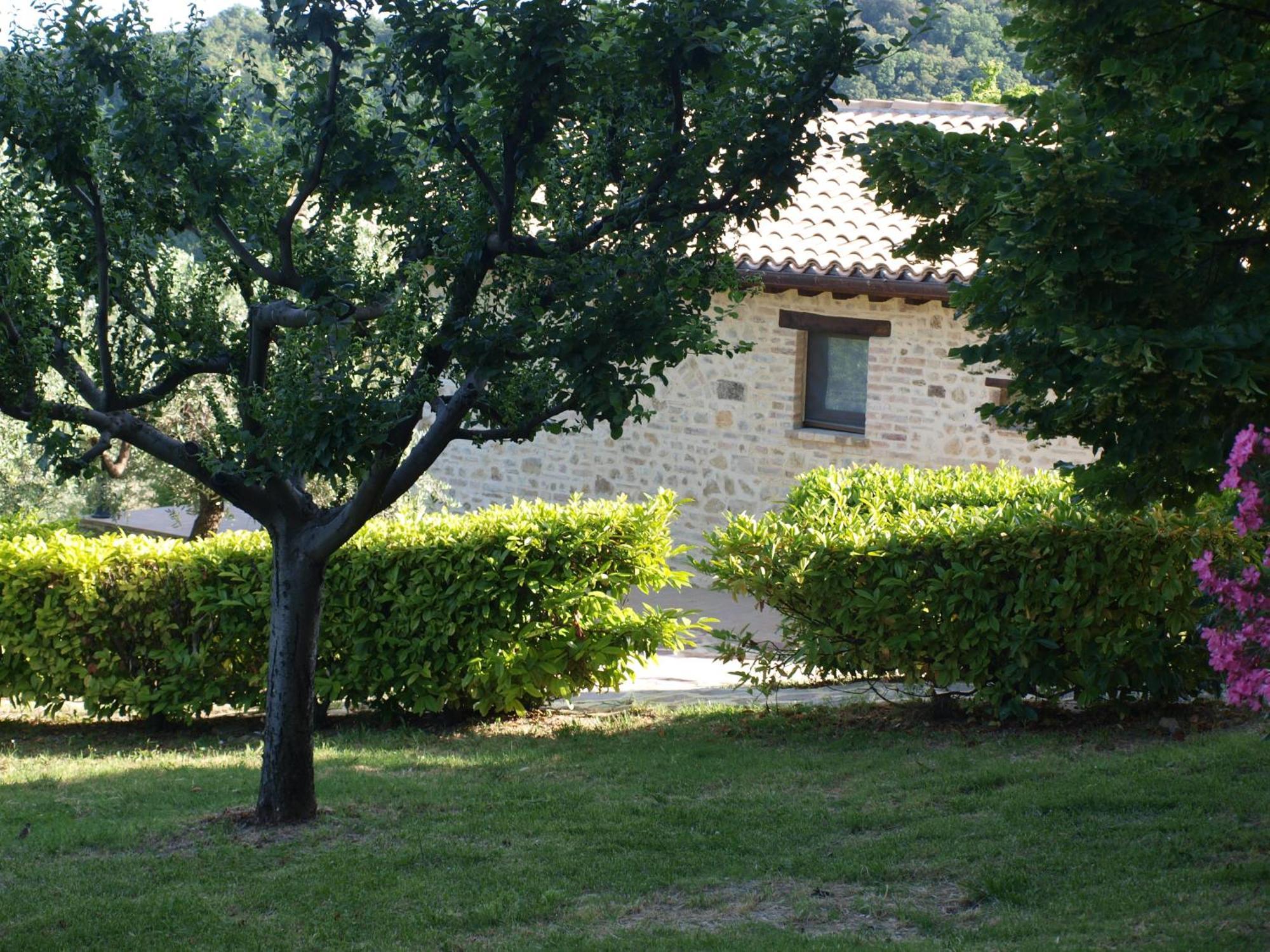 Agriturismo Camiano Piccolo 몬테팔코 외부 사진
